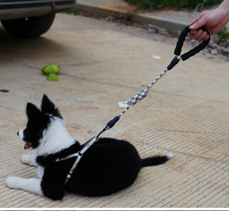 犬 ハーネス やさしさ結ぶ 散歩ハーネス