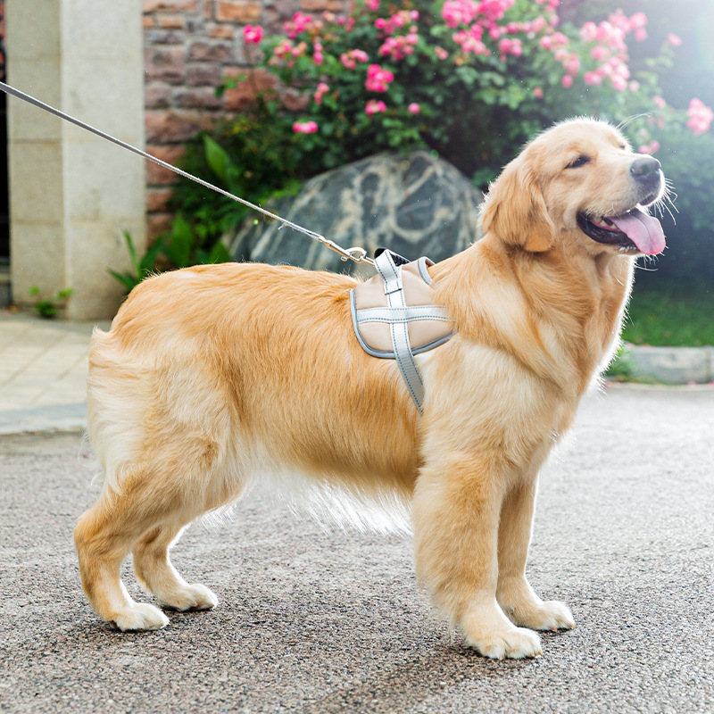 犬 ハーネス やさしさ包む 軽やか散歩ハーネス