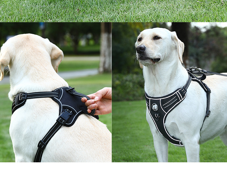 犬 ハーネス ソフトフィット安心ハーネス