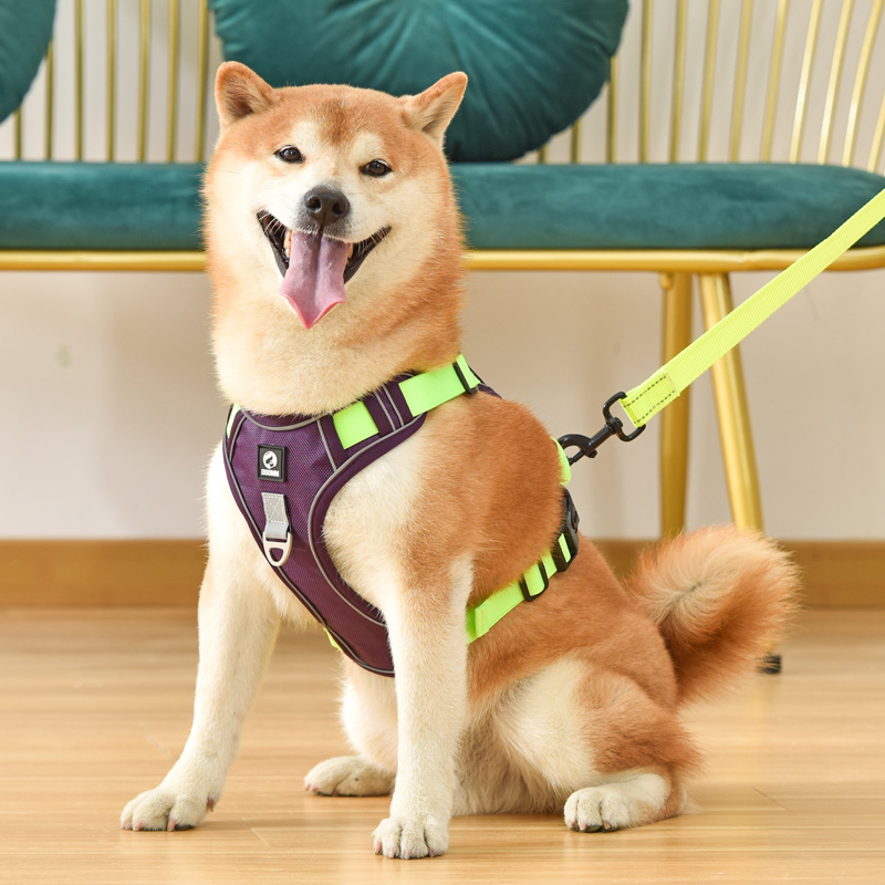 犬 ハーネス やさしさ包む 軽やか散歩ハーネス