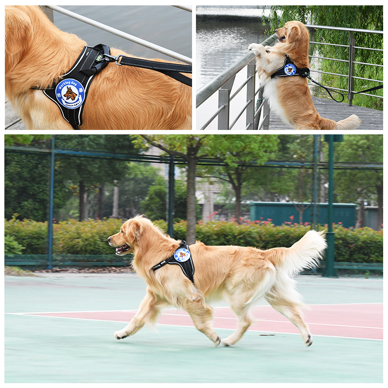 犬 ハーネス アウトドア散歩ハーネス
