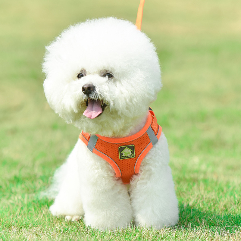 犬 ハーネス やさしい着け心地 ソフトメッシュ胴輪
