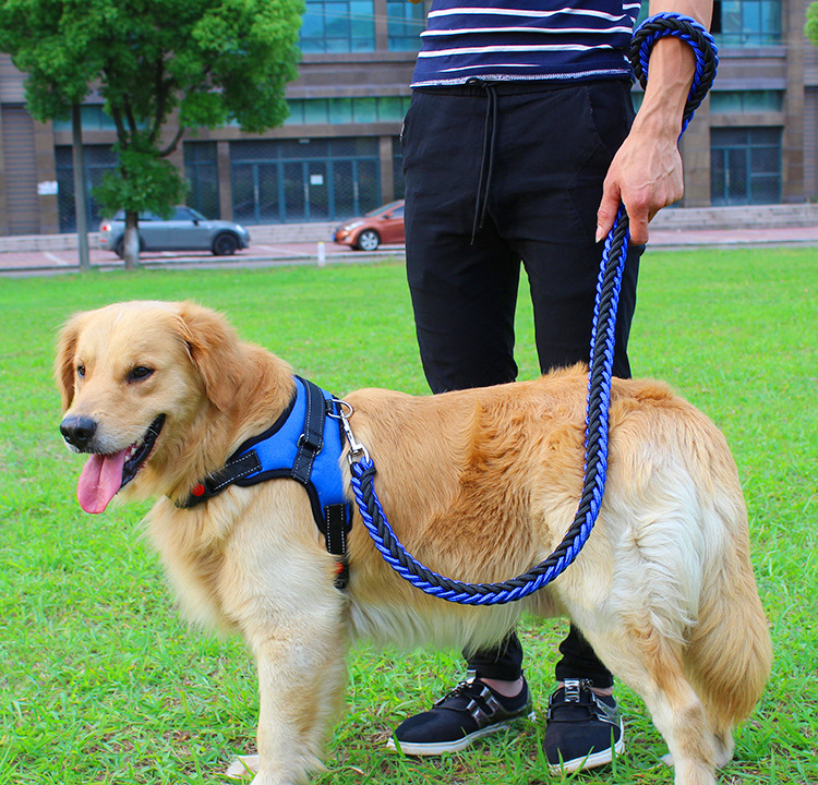 犬 ハーネス 職人手編み散歩ハーネス