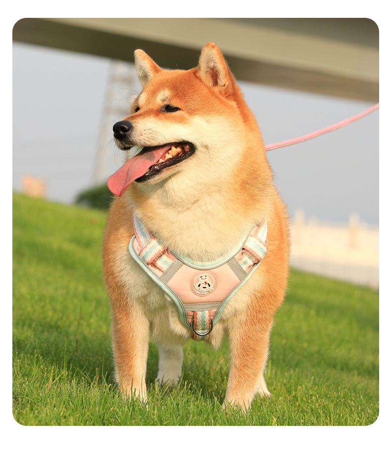 犬 ハーネス 柔らか手触り やすらぎハーネス