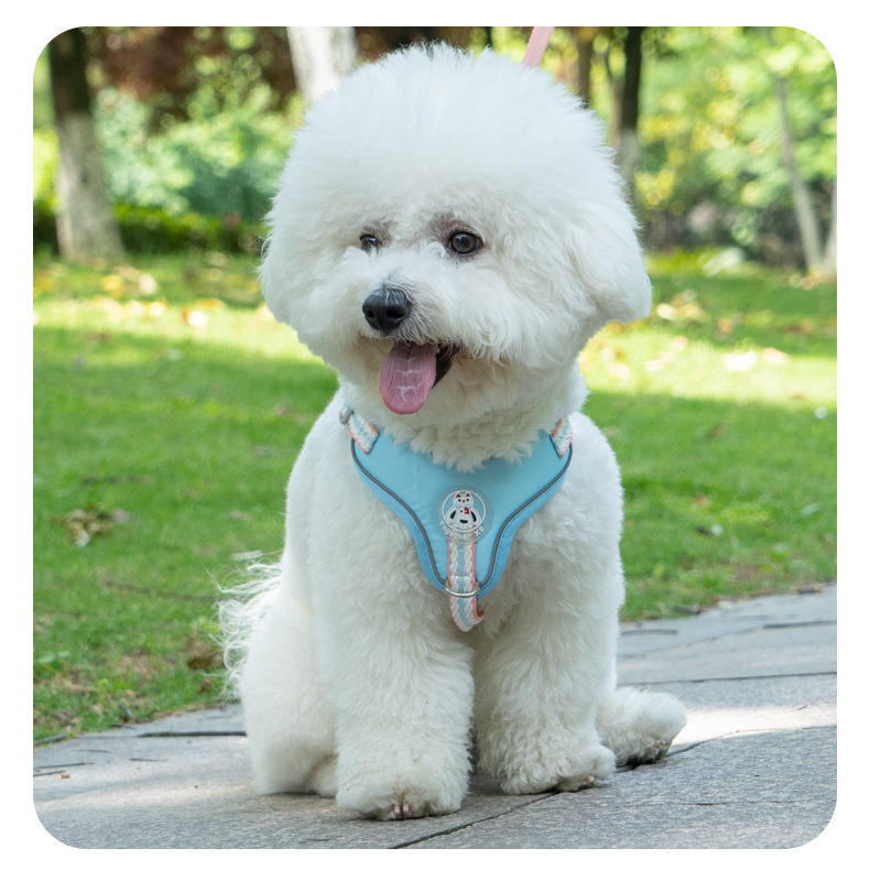 犬 ハーネス ふんわり包み込むやさしいハーネス