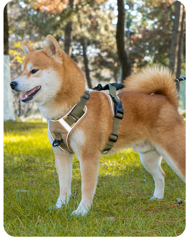 犬 ハーネス やさしさ包む快適ハーネス