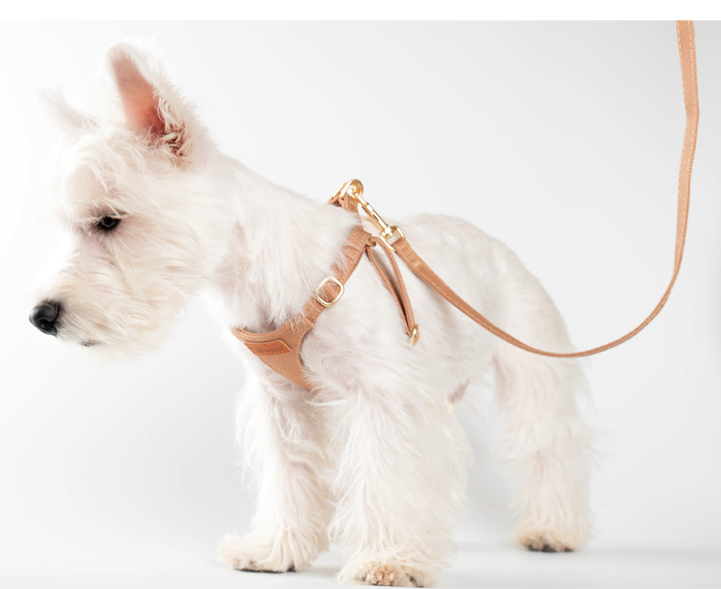 犬 ハーネス 上質なめし革のやさしいハーネス