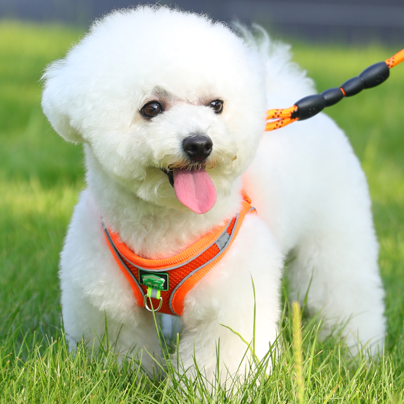 犬 ハーネス メッシュ通気性ハーネス