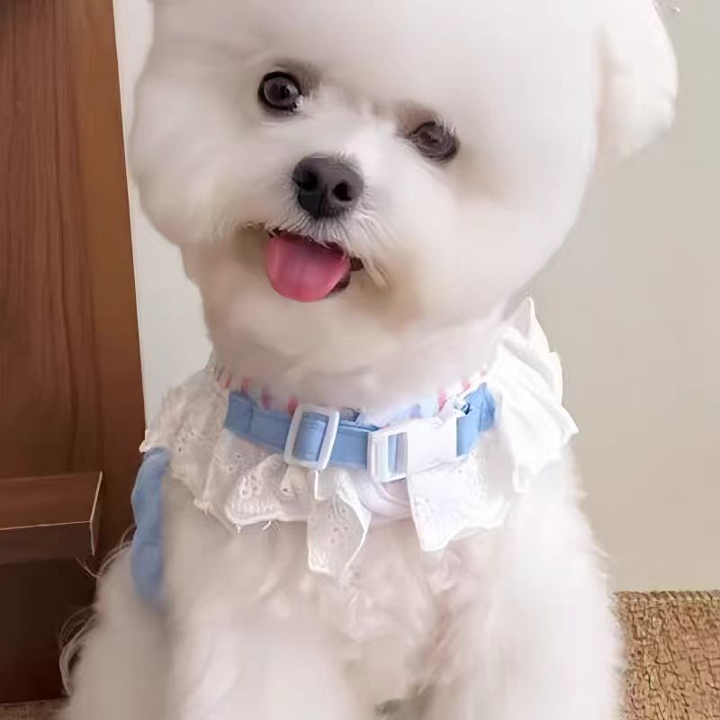 https://fulmo-img-server.com/wonderfulharness/35f66499-76f0-4a72-b024-8499bf3e441b.jpg