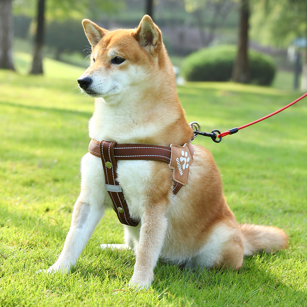 犬 ハーネス やさしい肩あて付き散歩用ハーネス