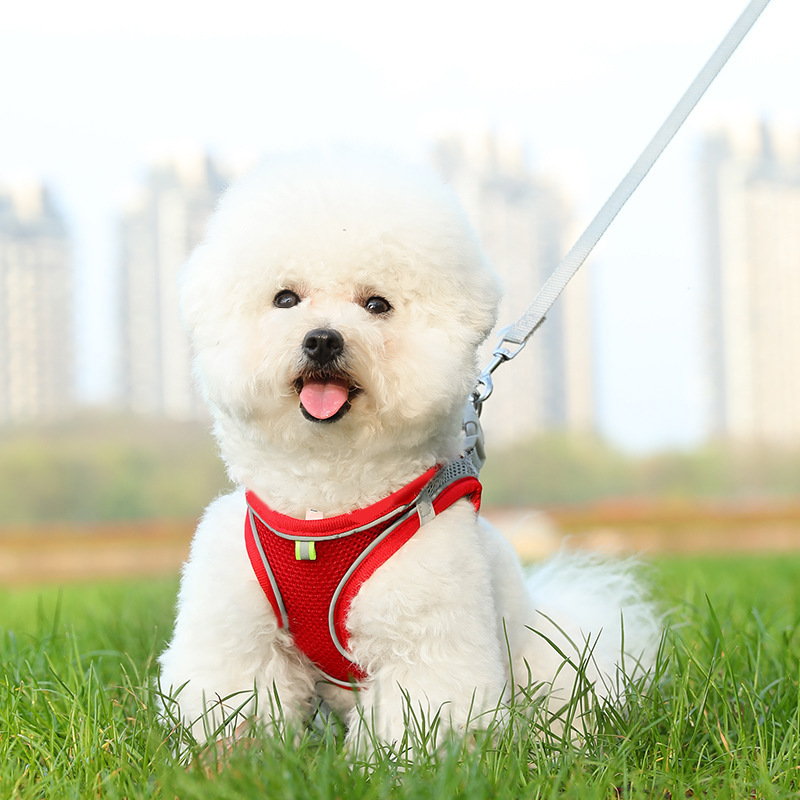 犬 ハーネス やさしい着け心地 メッシュベストハーネス