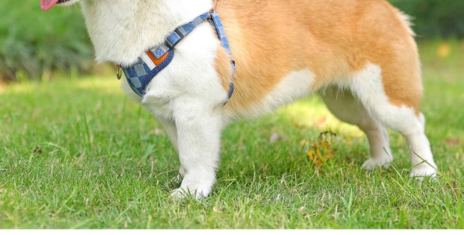犬 ハーネス やさしい呼吸ゆったりハーネス