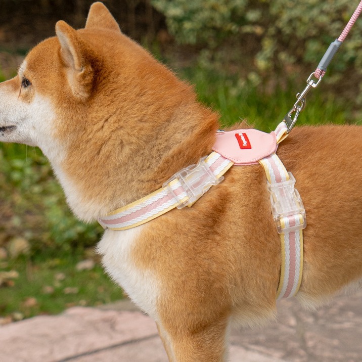 犬 ハーネス プレミアム ストライプハーネス