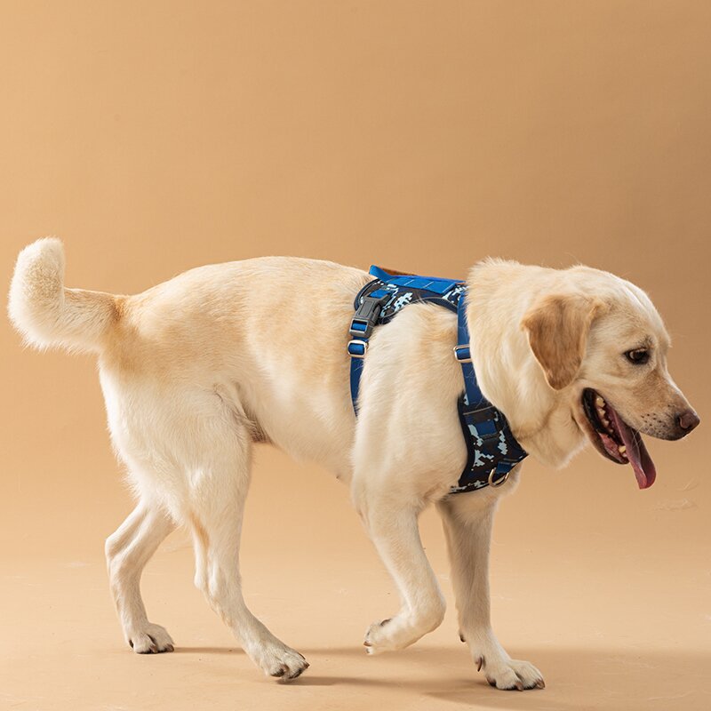 犬 ハーネス ソフトフィット 軽量ハーネス