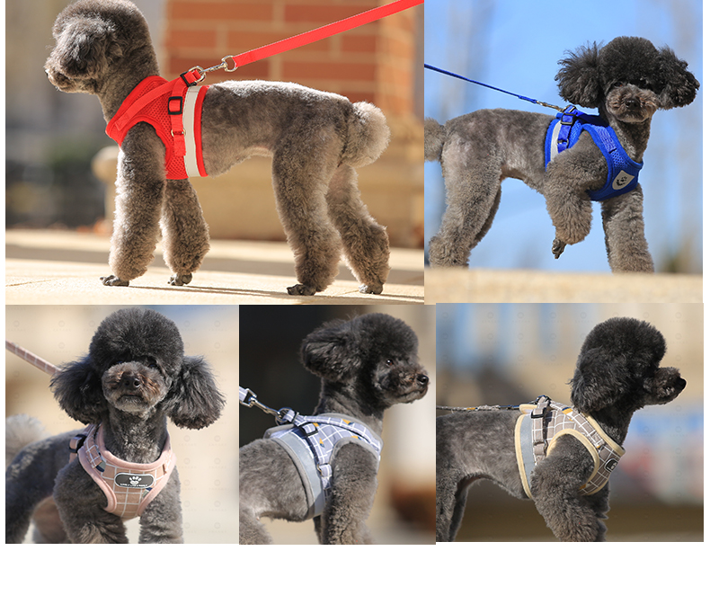 犬 ハーネス やさしい呼吸 フィット ハーネス