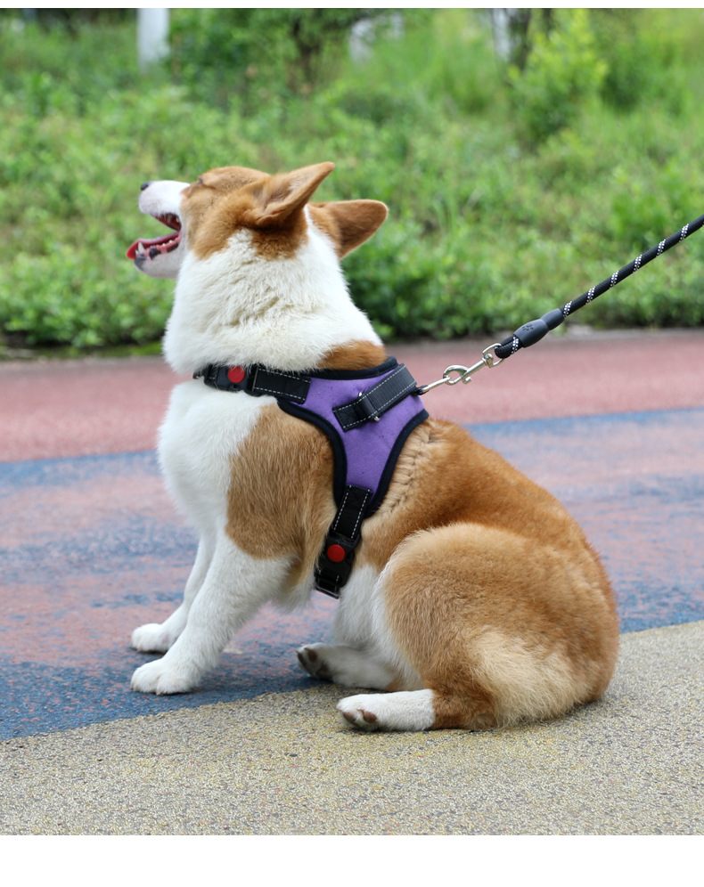 犬 ハーネス ゆったり安心ベーシックハーネス