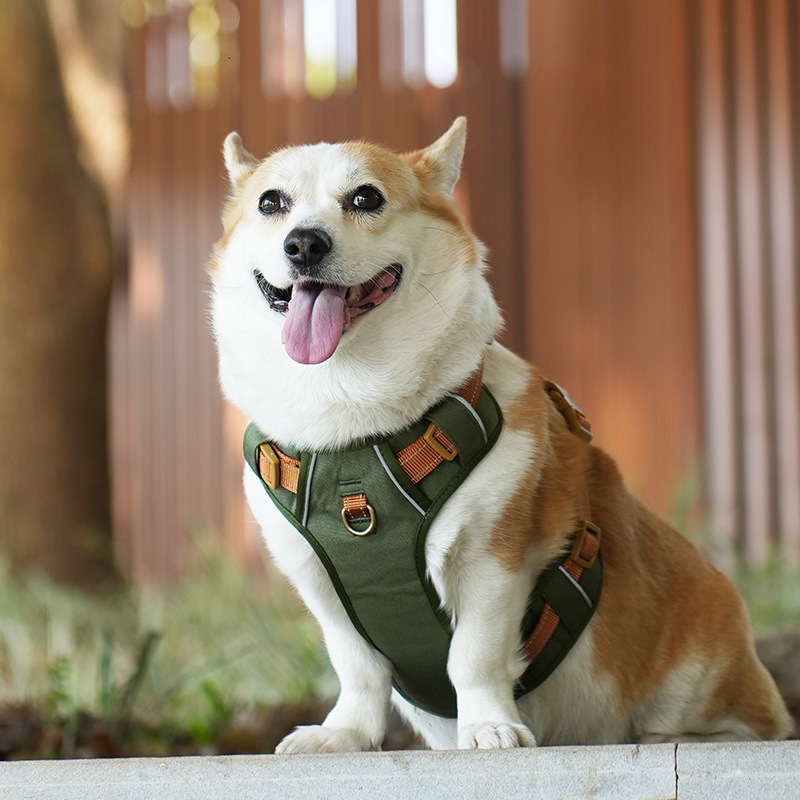 犬 ハーネス やさしさ包む ふんわりメッシュハーネス