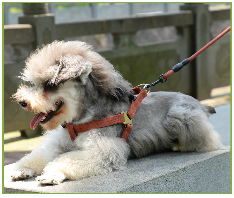 犬 ハーネス シンプル スター ハーネス