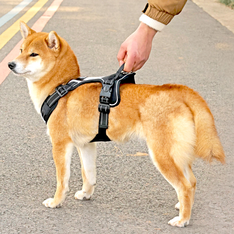 犬 ハーネス 軽量スタイリッシュ ホールドハーネス