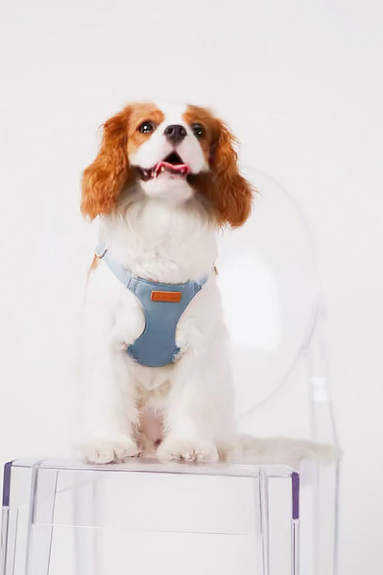 犬 ハーネス やさしさ包むふんわりハーネス