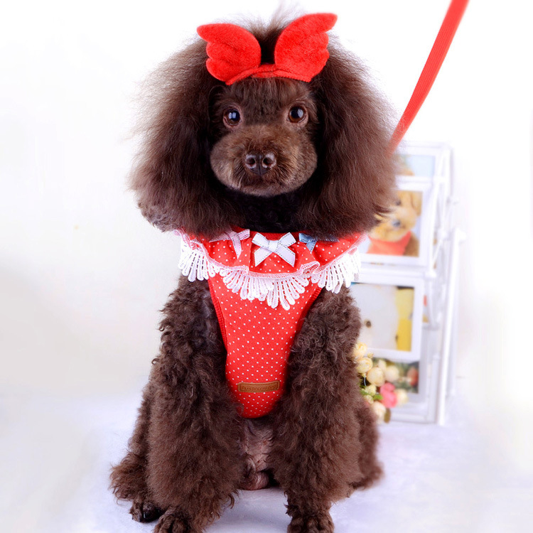 犬 ハーネス レース飾り付き小型犬用ハーネス