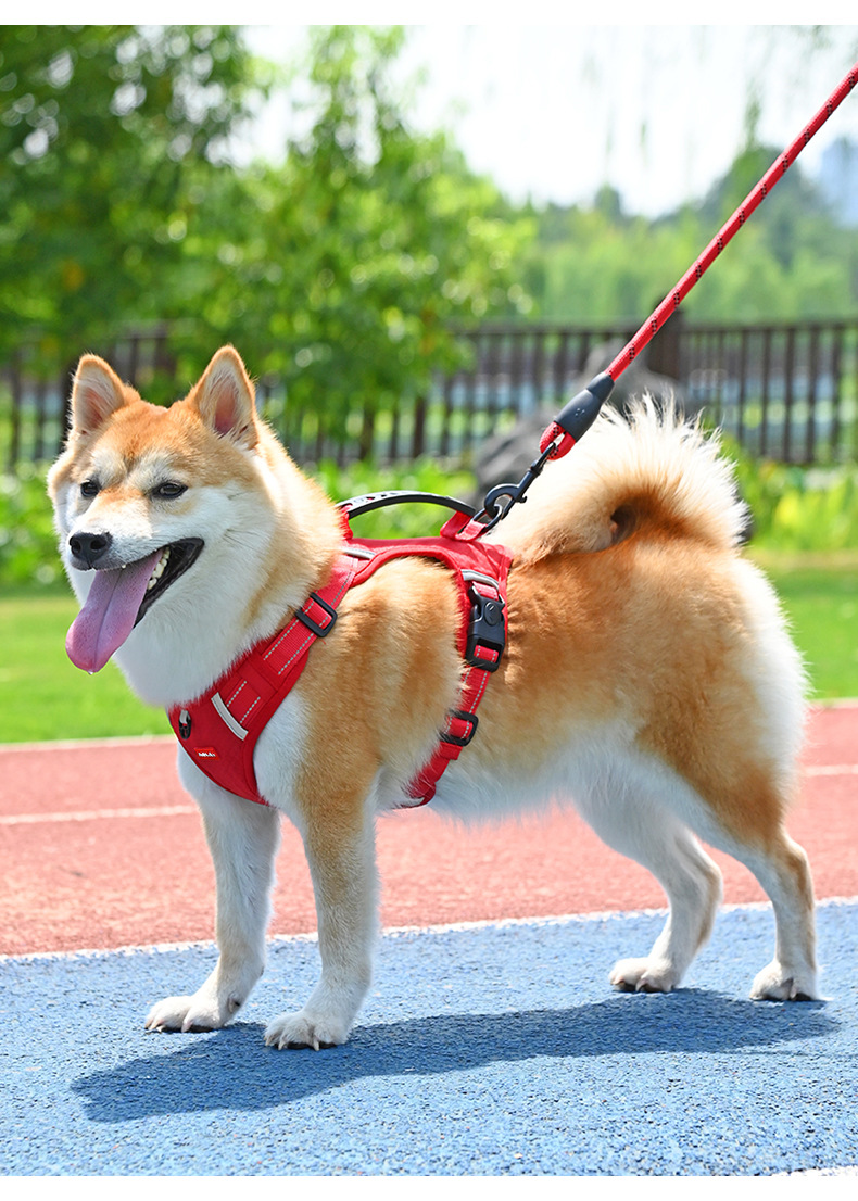 犬 ハーネス 柔らか素材の安心ハーネス