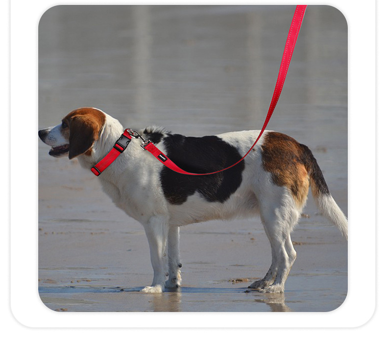 犬 ハーネス やさしい着け心地 ワンタッチベーシックハーネス