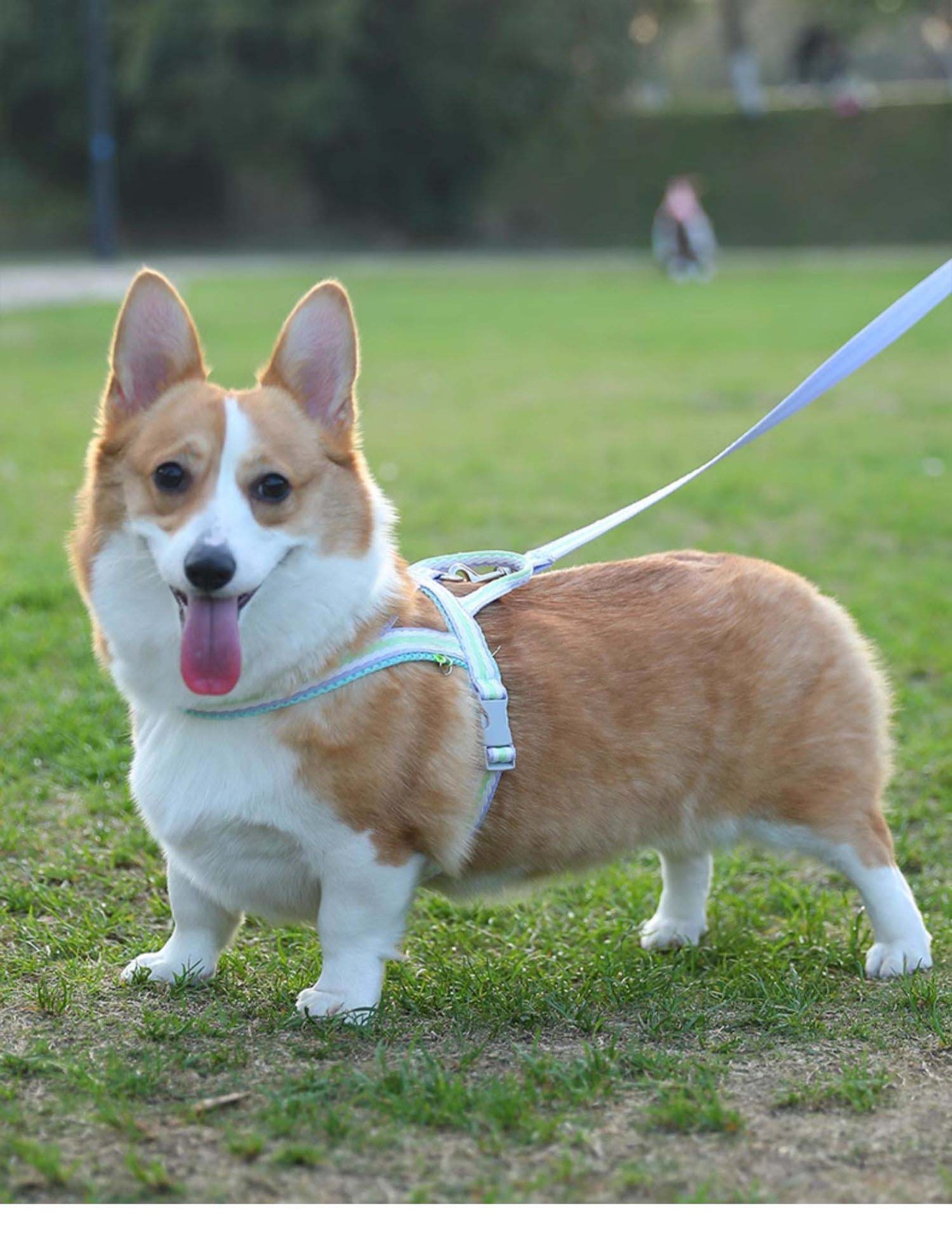犬 ハーネス やさしさ包む ふわふわハーネス