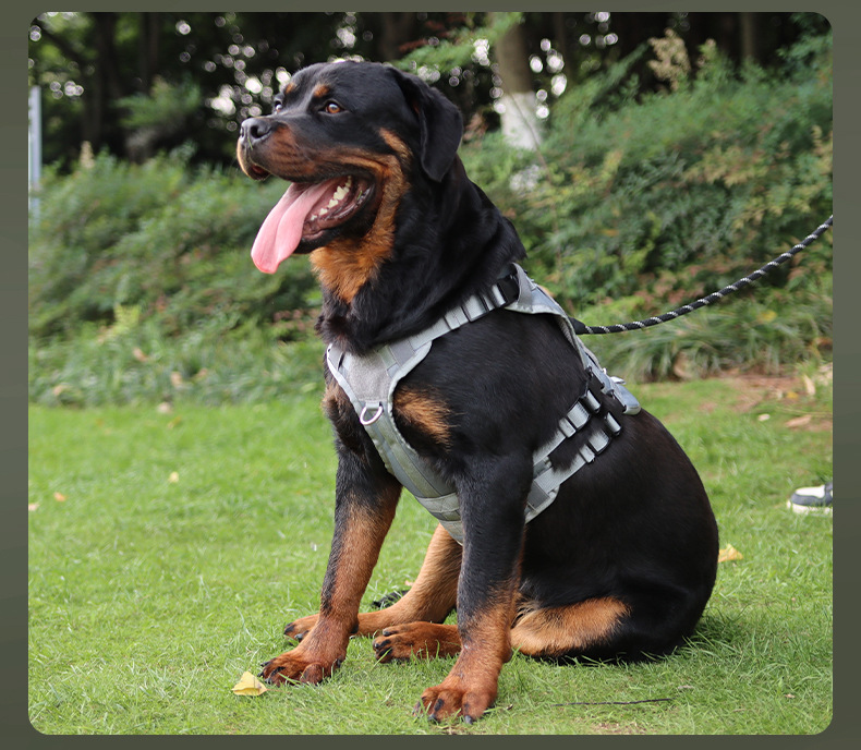 犬 ハーネス フィット感抜群 らくらくハーネス