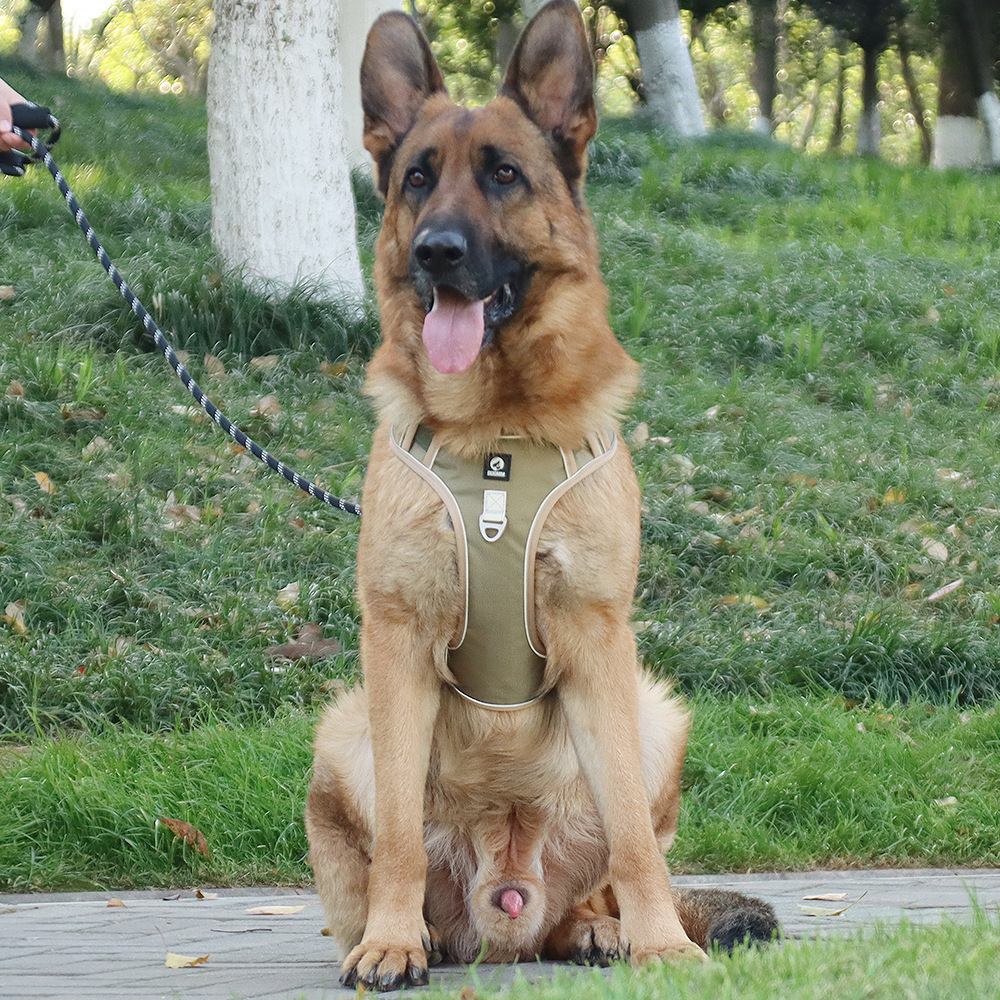 犬 ハーネス なめらかフィット 軽量ハーネス