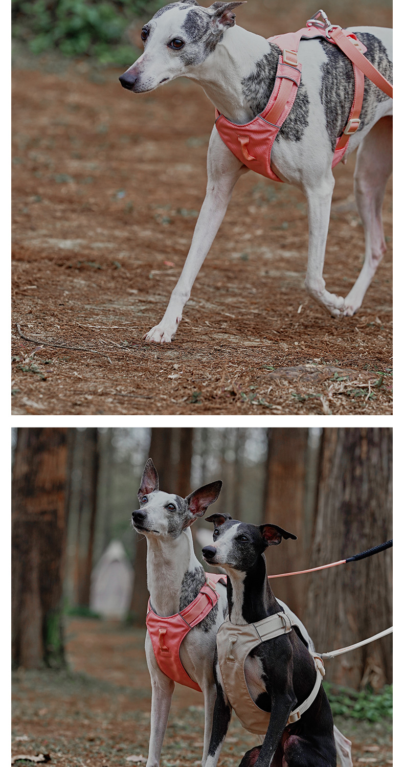 犬 ハーネス なめらか軽量ハーネス