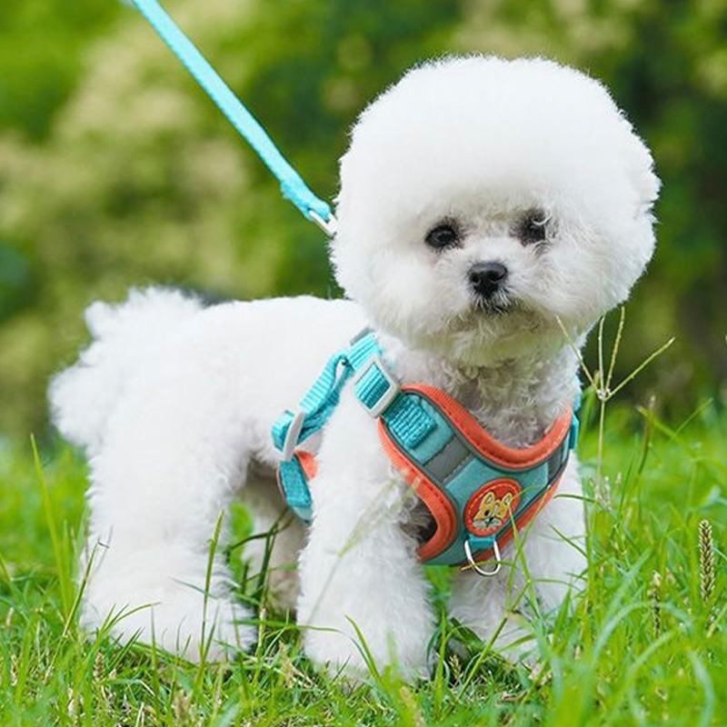 犬 ハーネス やさしい着け心地 ふんわりメッシュハーネス