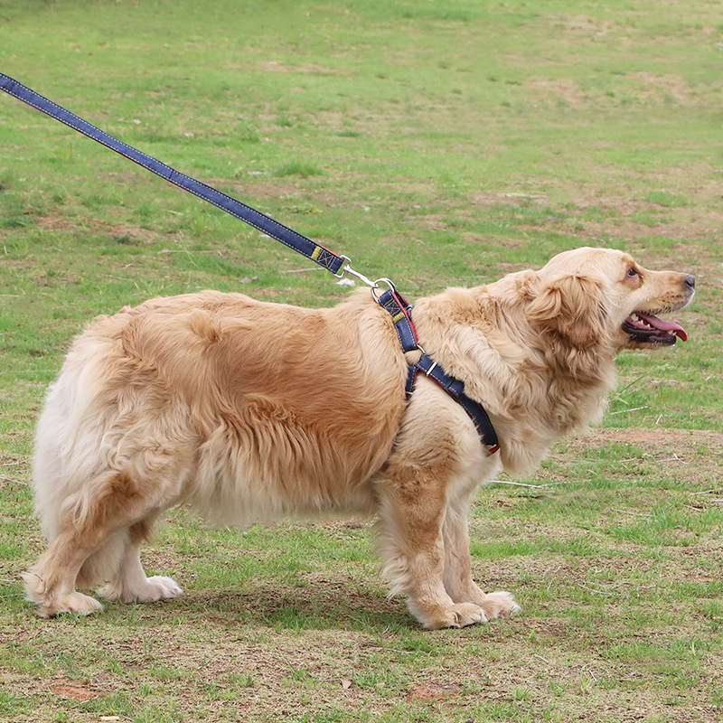 犬 ハーネス デニム調やわらかハーネスセット