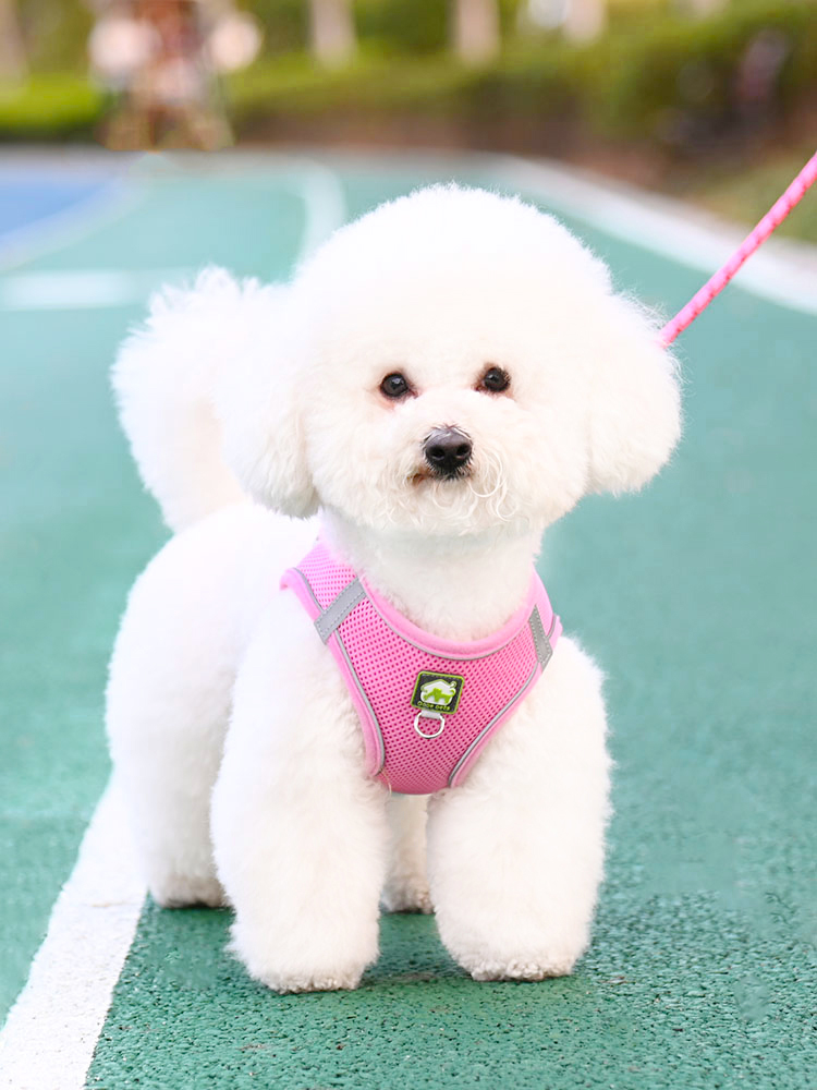 犬 ハーネス やわらか素材 メッシュ胴輪