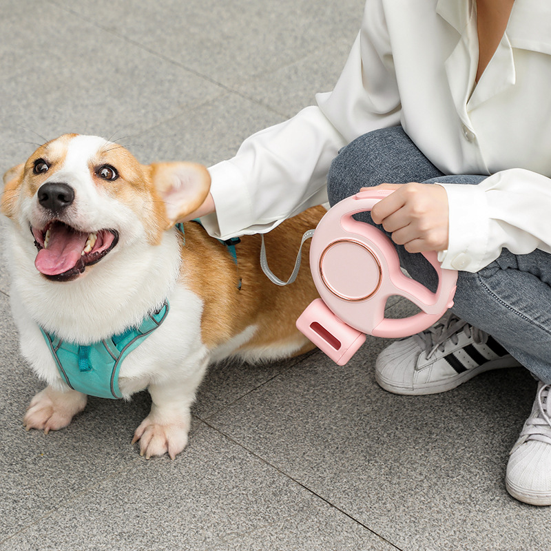 犬 ハーネス 生成エラーです