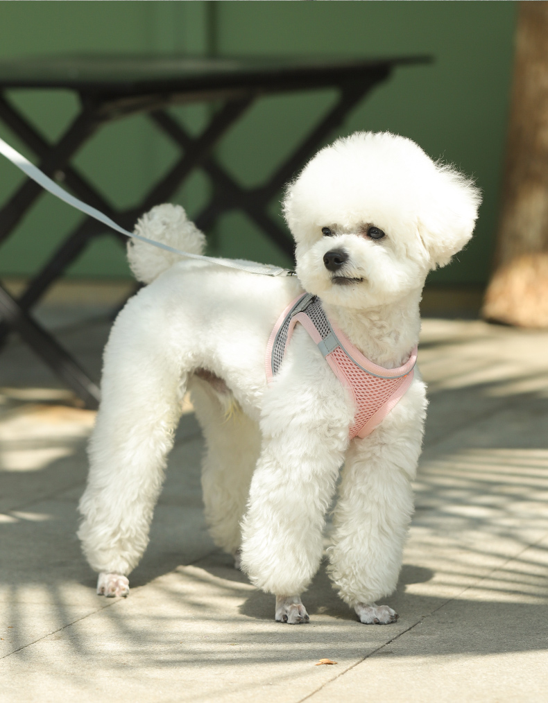 犬 ハーネス なめらかメッシュハーネス