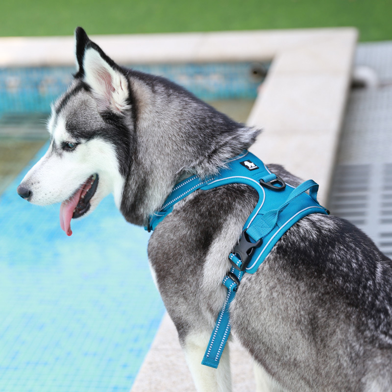 犬 ハーネス フィットスマートハーネス