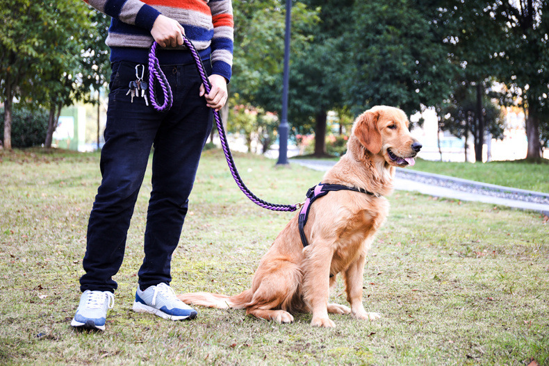 犬 ハーネス もこもこ編み込みハーネスセット