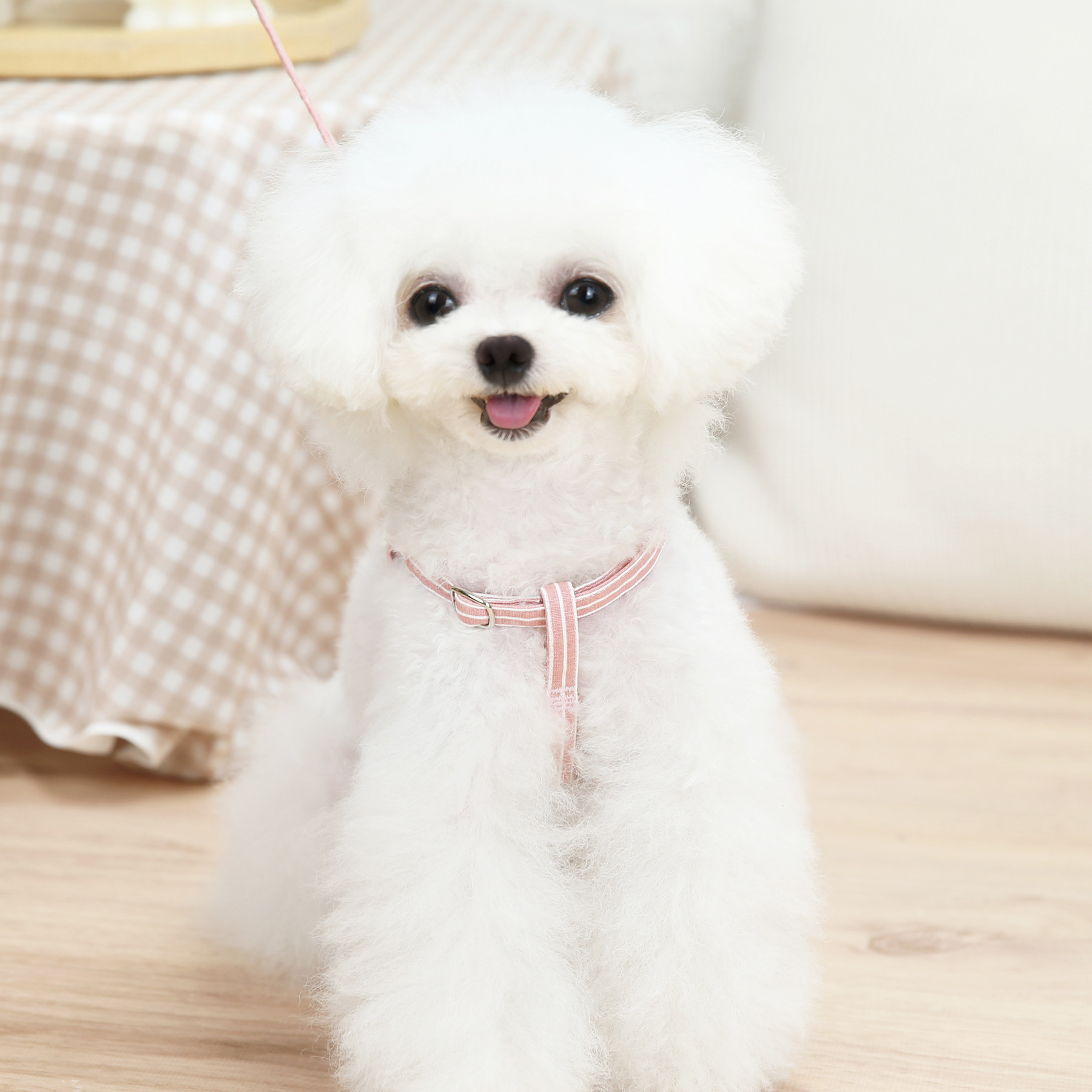 犬 ハーネス おリボン付きストライプ柄ハーネス