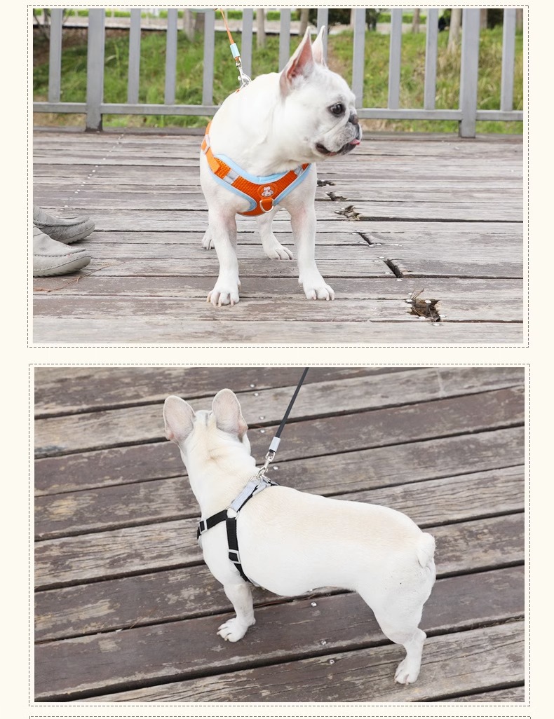 犬 ハーネス やわらかフィット ベーシックハーネス