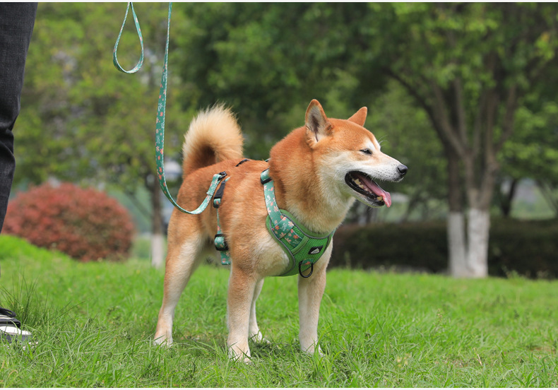 犬 ハーネス やさしさ包む 四季の散歩ハーネス