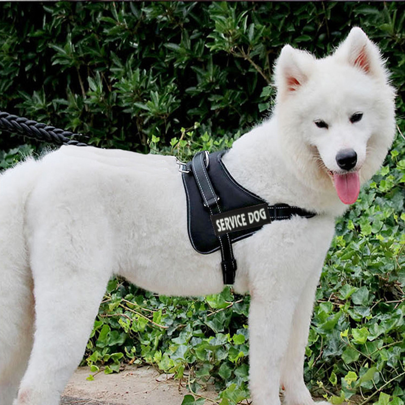 犬 ハーネス 介助犬用プロフェッショナルハーネス