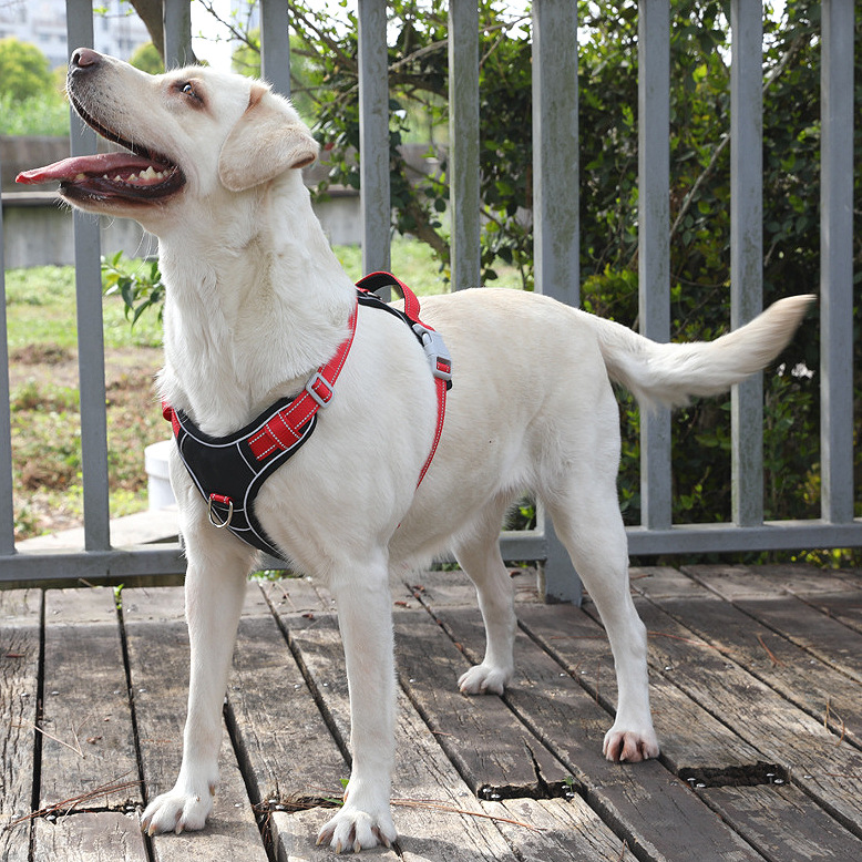 犬 ハーネス アウトドア機能性ハーネス