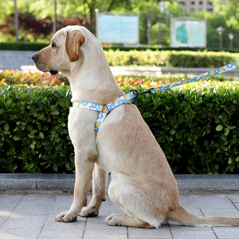 犬 ハーネス なめらか快適お散歩ハーネス