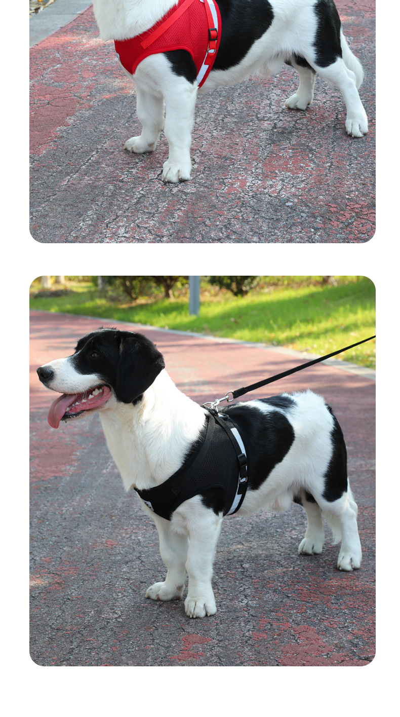 犬 ハーネス 上質ベーシック 軽量ハーネス