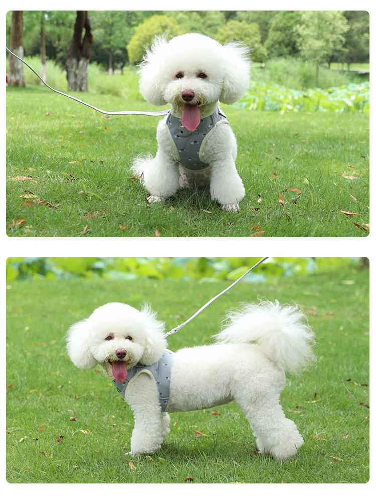 犬 ハーネス リボン飾り付き上質仕立てハーネス