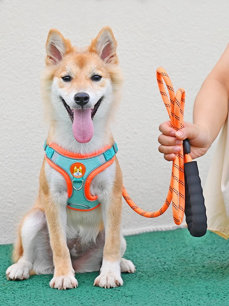 犬 ハーネス やさしさ包む 四季のハーネス