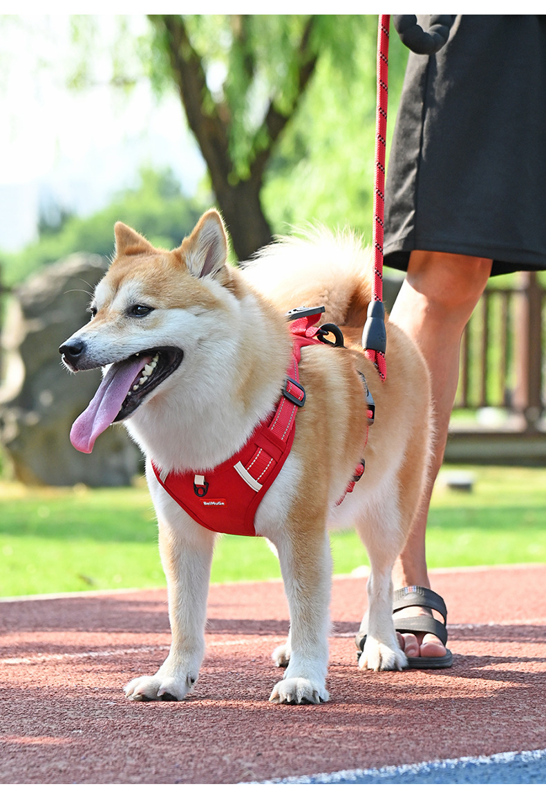 犬 ハーネス 柔らか素材の安心ハーネス