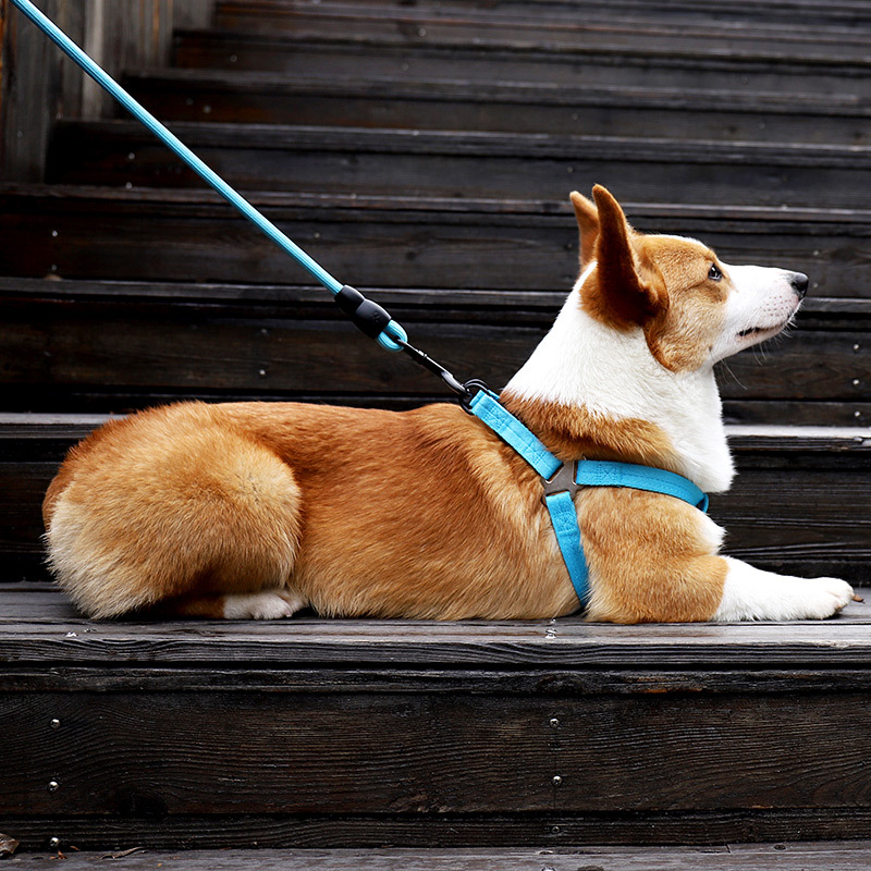 犬 ハーネス かろやかな歩みハーネス