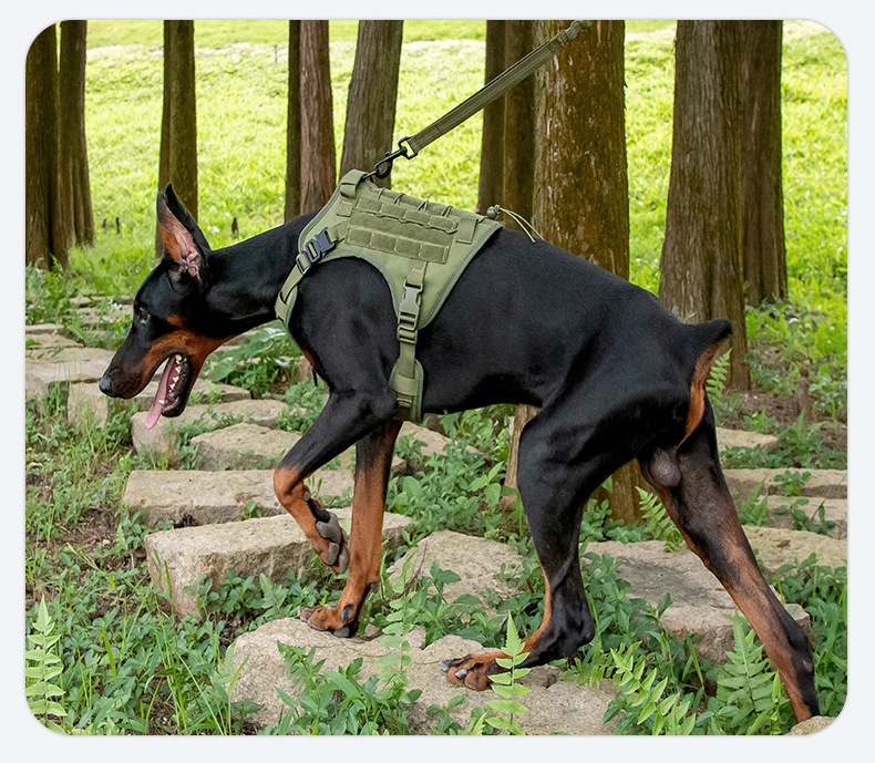犬 ハーネス シンプル機能性ハーネス 〜軍用チョウカク〜